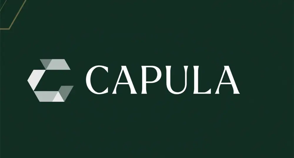 Capula Investment Management