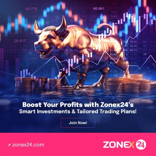 ZoneX24 binary investment project